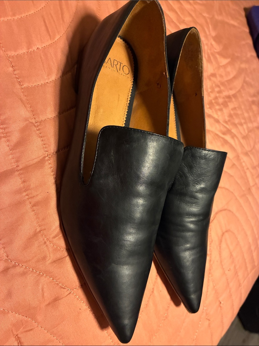 Sarto Leather Pointed-Toe Slip-On